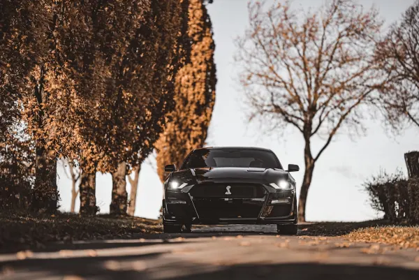 SuperNopea Cazino Cazinou Aplicație Android/iOS